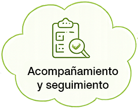 Acompañamiento y seguimiento